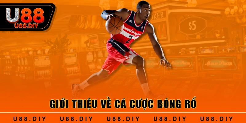 Giới thiệu về cá cược bóng rổ Giới thiệu về cá cược bóng rổ