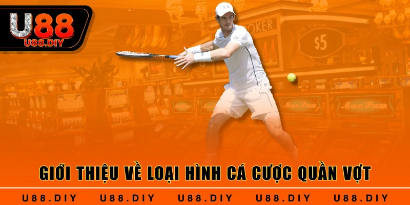 Giới thiệu về loại hình cá cược quần vợt Giới thiệu về loại hình cá cược quần vợt