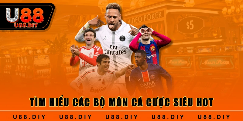 Tìm hiểu các bộ môn cá cược siêu hot Tìm hiểu các bộ môn cá cược siêu hot